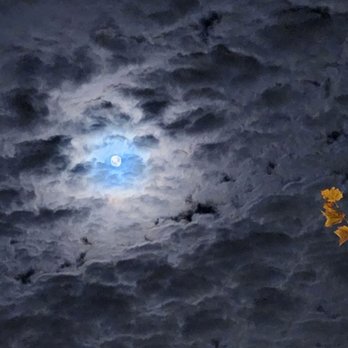 Larsen's Grill - The beautiful moon on a crisp chilly evening - Steakhouses Near Me - Oxnard, California
