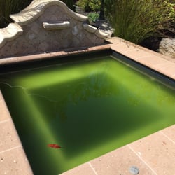 Aqua Clean Pool Service - Aqua Clean pool service sucks