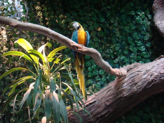 Aquarium of Veracruz by null