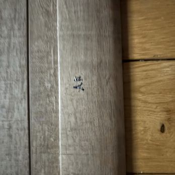 Refloor - Kitchen - Flooring Near Me - Farmington Hills, Michigan Refloor - Kitchen - Flooring Near Me - Farmington Hills, Michigan