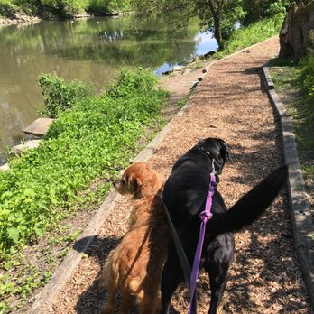 Albany Bark! - Bailey and Oscar love their River Path nature walks in Albany Park! - Dog Walkers Near Me - Chicago, Illinois Albany Bark! - Bailey and Oscar love their River Path nature walks in Albany Park! - Dog Walkers Near Me - Chicago, Illinois