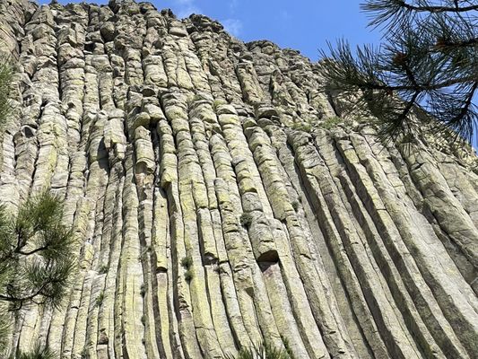 Devils Tower National Monument by null