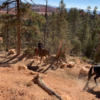 Canyon Trail Rides - Horseback Riding Near Me - Tropic, Utah Canyon Trail Rides - Horseback Riding Near Me - Tropic, Utah