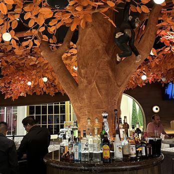 Sushisamba - Bar - Asian Fusion Near Me - Las Vegas, Nevada