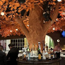 Sushisamba - Bar