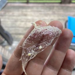 Seran wrap 1. Egg Roll