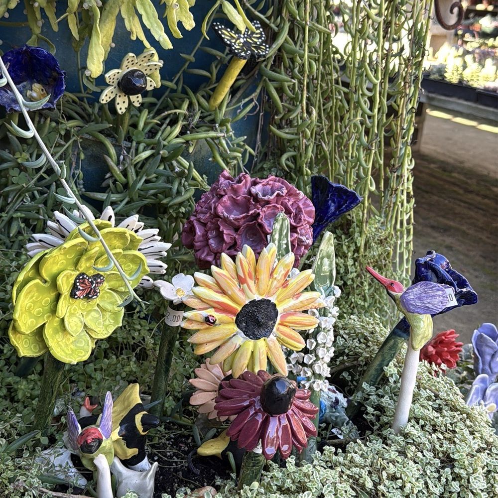 Seaside Gardens - Nurseries & Gardening Near Me - Carpinteria, California