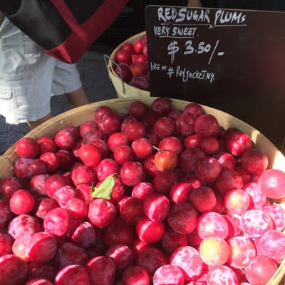 Tompkins Square Park Greenmarket by null