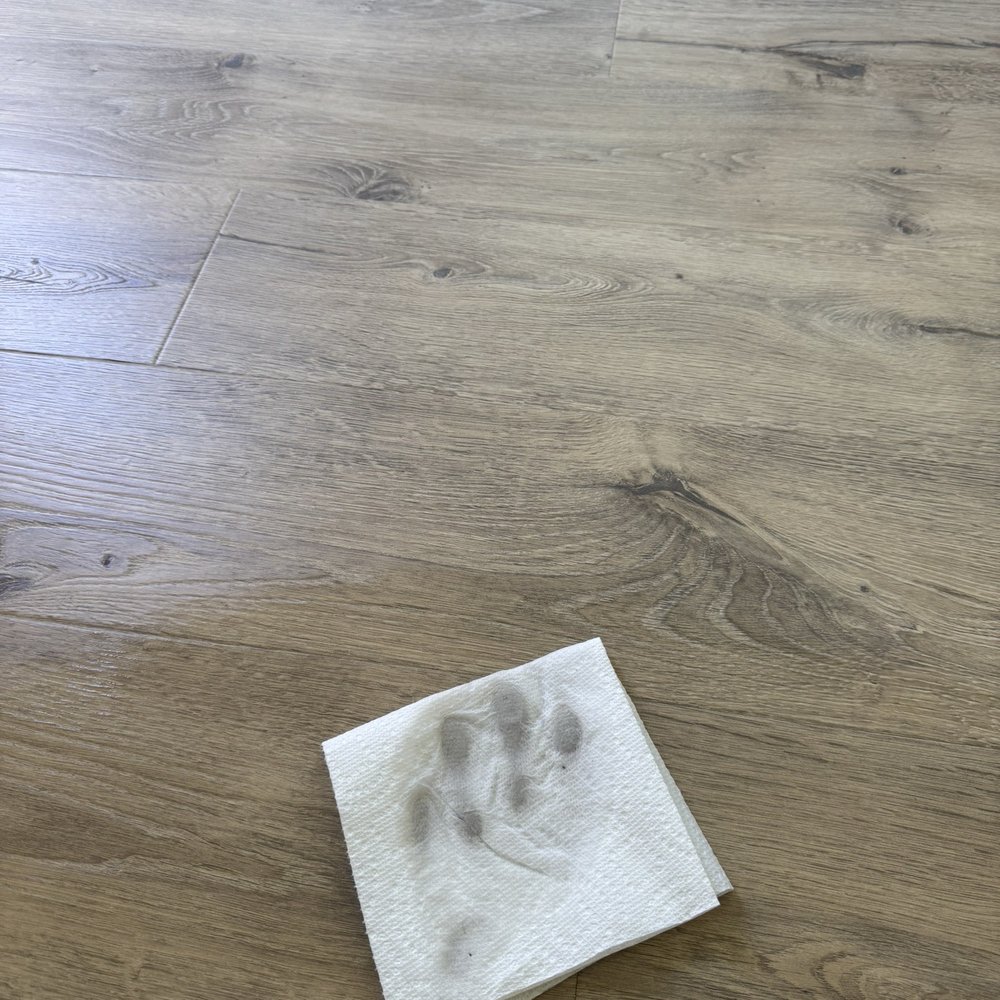 Living room flooring after they finished "mopping" Living room flooring after they finished "mopping"