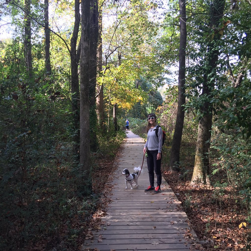 Morningside Nature Preserve - Parks Near Me - Atlanta, Georgia Morningside Nature Preserve - Parks Near Me - Atlanta, Georgia