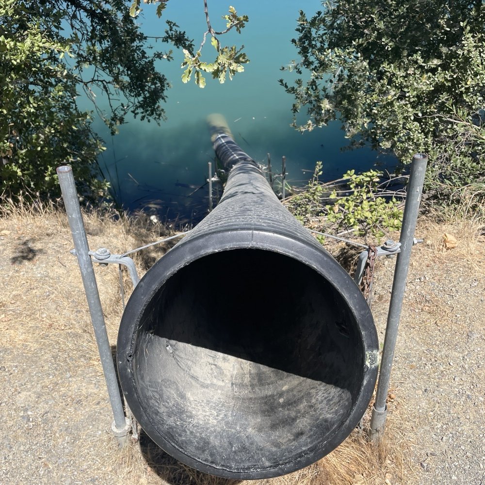 Shadow Cliffs Regional Recreation Area - Fish plant tube - Parks Near Me - Pleasanton, California Shadow Cliffs Regional Recreation Area - Fish plant tube - Parks Near Me - Pleasanton, California