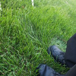 Terrace Room At Foremost - The grass had not been mowed, did they not know about the wedding?