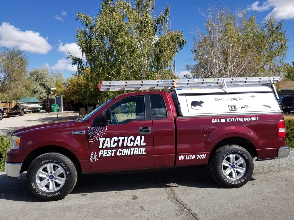 TACTICAL PEST CONTROL Reno, Nevada Pest Control Phone Number Yelp