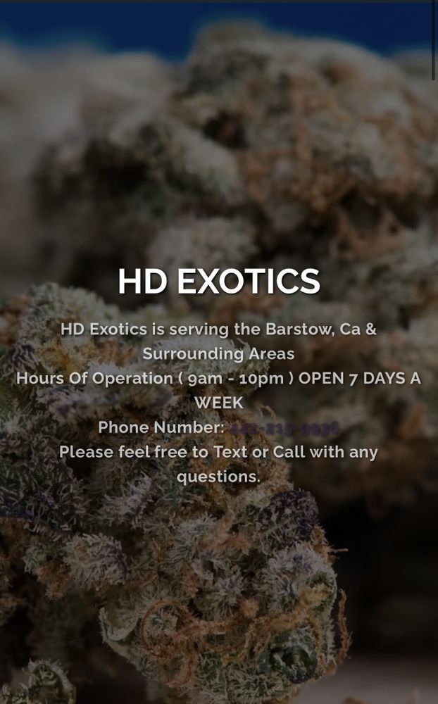 HD EXOTICS MEDICAL DISPENSARY Updated August 2024 Barstow