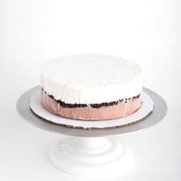 Ice Cream Cakes