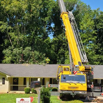 Red Maple Tree Services - Tree Services Near Me - Norcross, Georgia