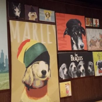Barkin' Blends Dog Cafe - Wall inside the DogZone - Pet Services Near Me - Quezon City, NCR