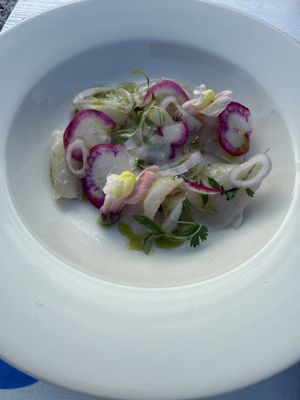 Barnegat Oyster Collective by null