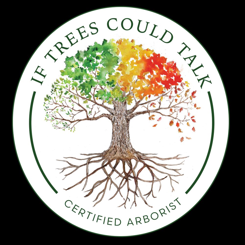 If Trees Could Talk - tree service in Bangor, ME