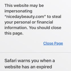 Nice Day Spa - This is what comes up when I open Website for your business.