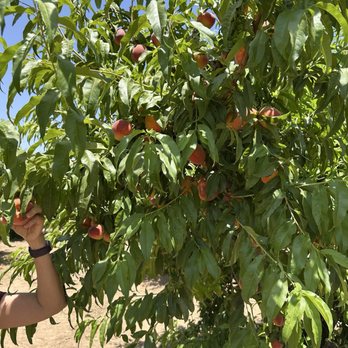 Schnepf Farms - Venues & Event Spaces Near Me - Queen Creek, Arizona
