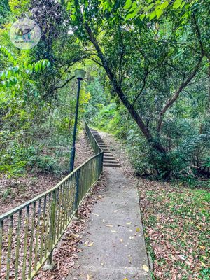 Henderson Waves by null