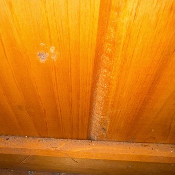 AuSable Chasm campground - Mold in cabin - Campgrounds Near Me - Keeseville, New York AuSable Chasm campground - Mold in cabin - Campgrounds Near Me - Keeseville, New York