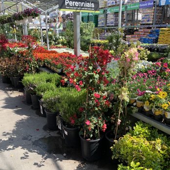 The Home Depot - Wow!!!! What a great selection this Homedepot has, really impressive, plus customer service is A+ - Nurseries & Gardening Near Me - Hercules, California The Home Depot - Wow!!!! What a great selection this Homedepot has, really impressive, plus customer service is A+ - Nurseries & Gardening Near Me - Hercules, California