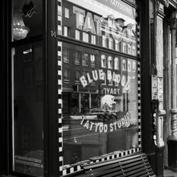 The Blue Blood Studios