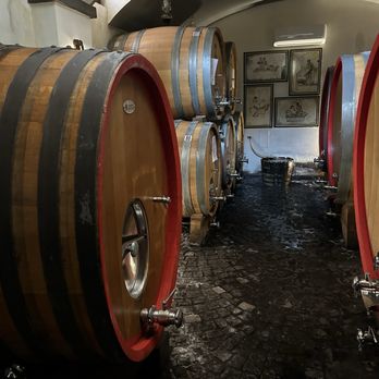 Cantina del Vesuvio Winery - Behind the scenes! - Beer, Wine & Spirits Near Me - Trecase, NA Cantina del Vesuvio Winery - Behind the scenes! - Beer, Wine & Spirits Near Me - Trecase, NA