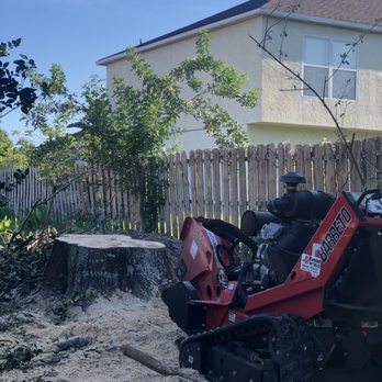 ISK Tree Services - Tree Services Near Me ISK Tree Services - Tree Services Near Me
