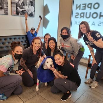 VEG ER for Pets - Emergency Pet Hospital Near Me - Fort Worth, Texas VEG ER for Pets - Emergency Pet Hospital Near Me - Fort Worth, Texas