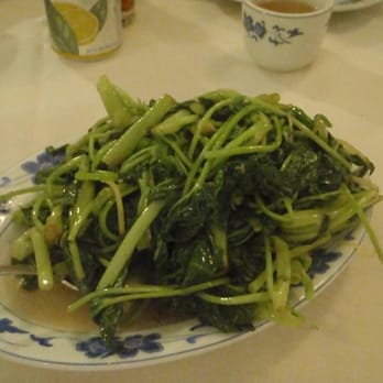 Queens Seafood Restaurant - chinese water spinach - Seafood Near Me - Elmhurst, New York Queens Seafood Restaurant - chinese water spinach - Seafood Near Me - Elmhurst, New York