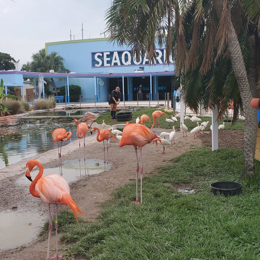 Miami Seaquarium - Aquariums Near Me - Miami, Florida Miami Seaquarium - Aquariums Near Me - Miami, Florida