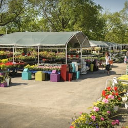 Down 2 Earth Garden Centre - garden centre