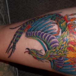 Expressions Tattoo - One more session and it's done! I absolutely love my new phoenix!!!! Tat-2-Al....You rock!