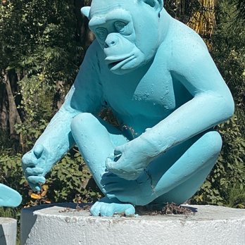 Zoológico - Zoos Near Me - Guadalajara, JAL Zoológico - Zoos Near Me - Guadalajara, JAL