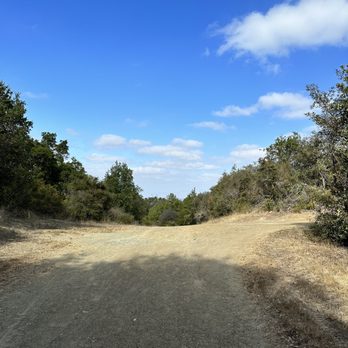 Overlook Trail - Hiking Near Me - Los Gatos, California Overlook Trail - Hiking Near Me - Los Gatos, California