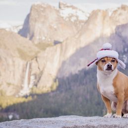 Was a little chilly so he had his hat on Was a little chilly so he had his hat on