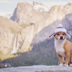 Tunnel View - Was a little chilly so he had his hat on