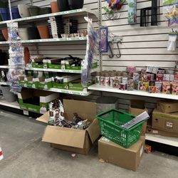 Dollar Tree