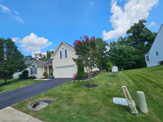 Metallurgy Company Landscaping