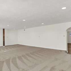 All In 1 Mold Contractors