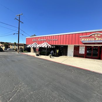 FDS Flowers by Miriam - Florists Near Me - La Mesa, California FDS Flowers by Miriam - Florists Near Me - La Mesa, California