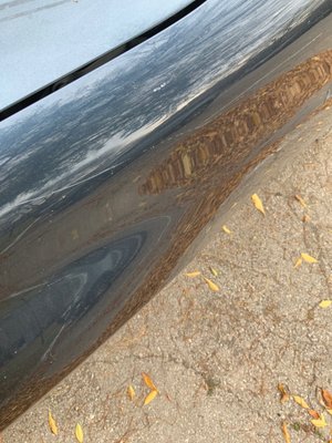 CALIBER COLLISION - Updated June 2025 - 14 Photos & 54 Reviews - 601