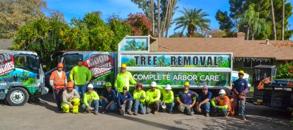 Moon Valley Nursery Tree Removal 14025 N 7th St Phoenix Az Tree Removal 14025 N 7th St Phoenix Az