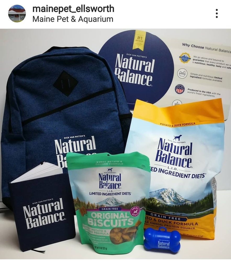 MAINE PET & AQUARIUM Updated April 2024 10 Photos 47 Downeast Hwy