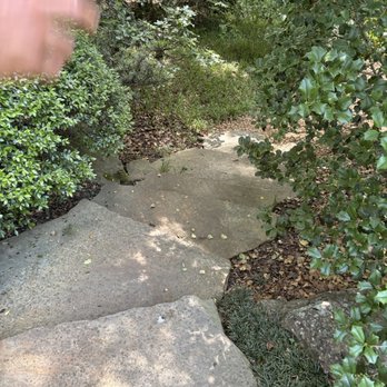 UNC Charlotte Botanical Gardens - Botanical Gardens Near Me - Charlotte, North Carolina