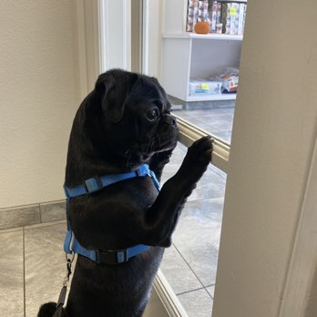 Newport Pet Clinic - Veterinarians Near Me - Tustin, California