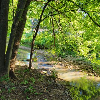 Jefferson Manor Park - Little Stream - Parks Near Me - Alexandria, Virginia Jefferson Manor Park - Little Stream - Parks Near Me - Alexandria, Virginia